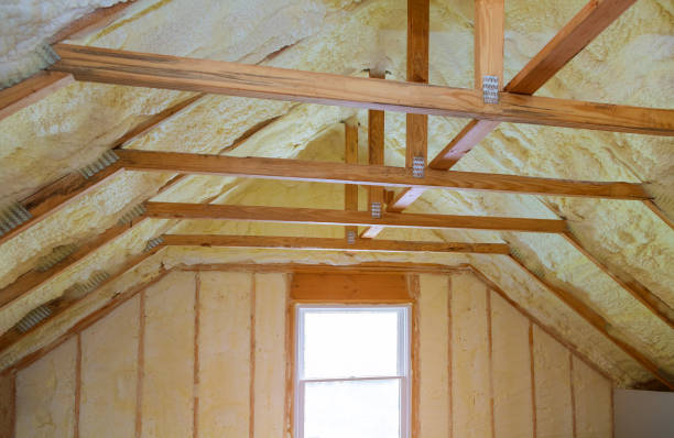 Best Professional Insulation Contractor  in USA